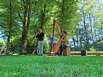 Harpe à pédales 