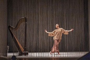 Harpe et danse - Cie Sarah Vaumourin 