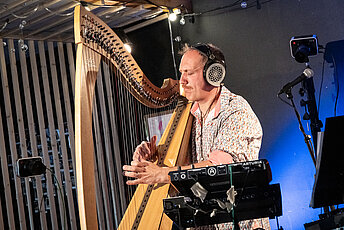 Harpe électro -François Pernel