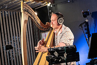 Harpe électro -François Pernel
