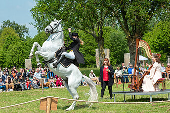 Harpe et cheval