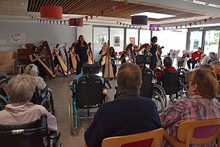 Fabius Constable & The Harpbeat Orchestra