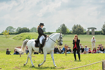 Harpe et cheval
